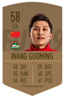 Guoming Wang FIFA 19 Rating, Card, Price