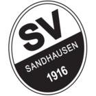 SV Sandhausen fifa 20