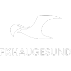 FK Haugesund fifa 19