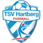 TSV Hartberg fifa 20