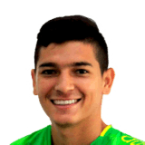 Ronaldo Tavera fifa 19